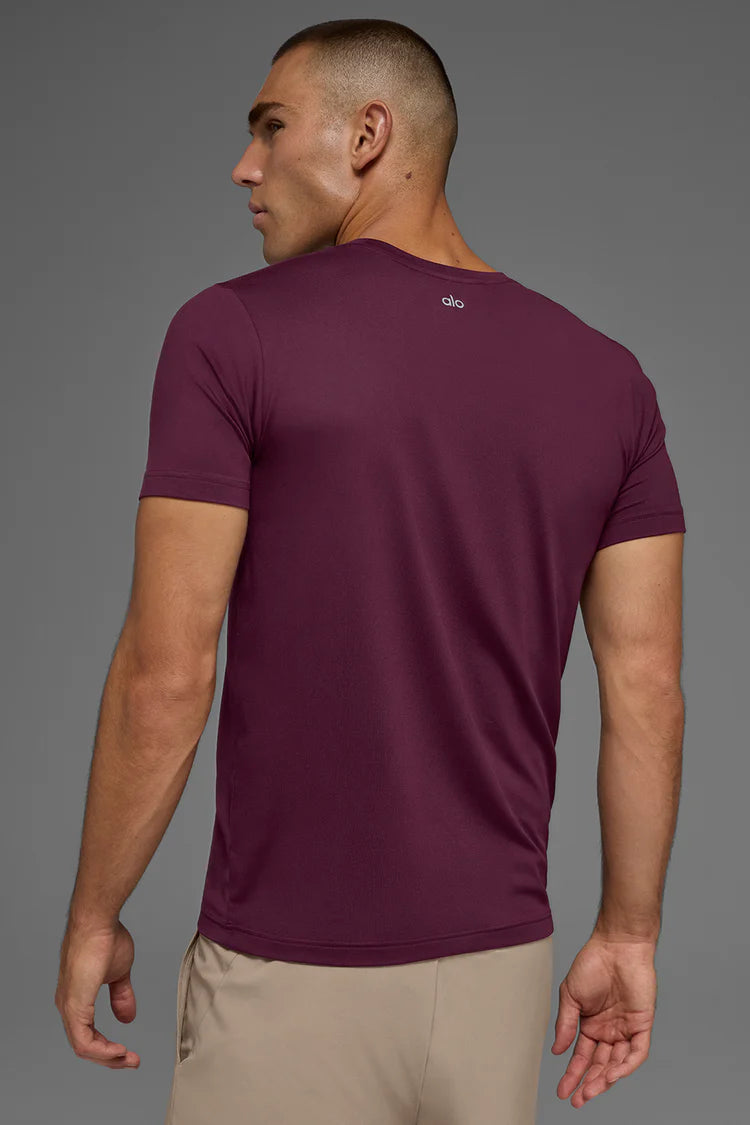 Conquer reform crewneck short sleeve Alo Yoga